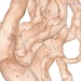 Cropped_75_rollin2