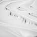Cropped_75_9