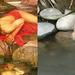 Cropped_75_819