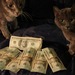 Cropped_75_tumblr_ljxhl8kc3r1qgn992o1_1280