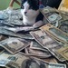 Cropped_75_tumblr_m1m3hqbcum1qgn992o1_1280
