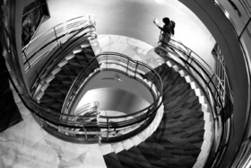 Proportional_280_rubin